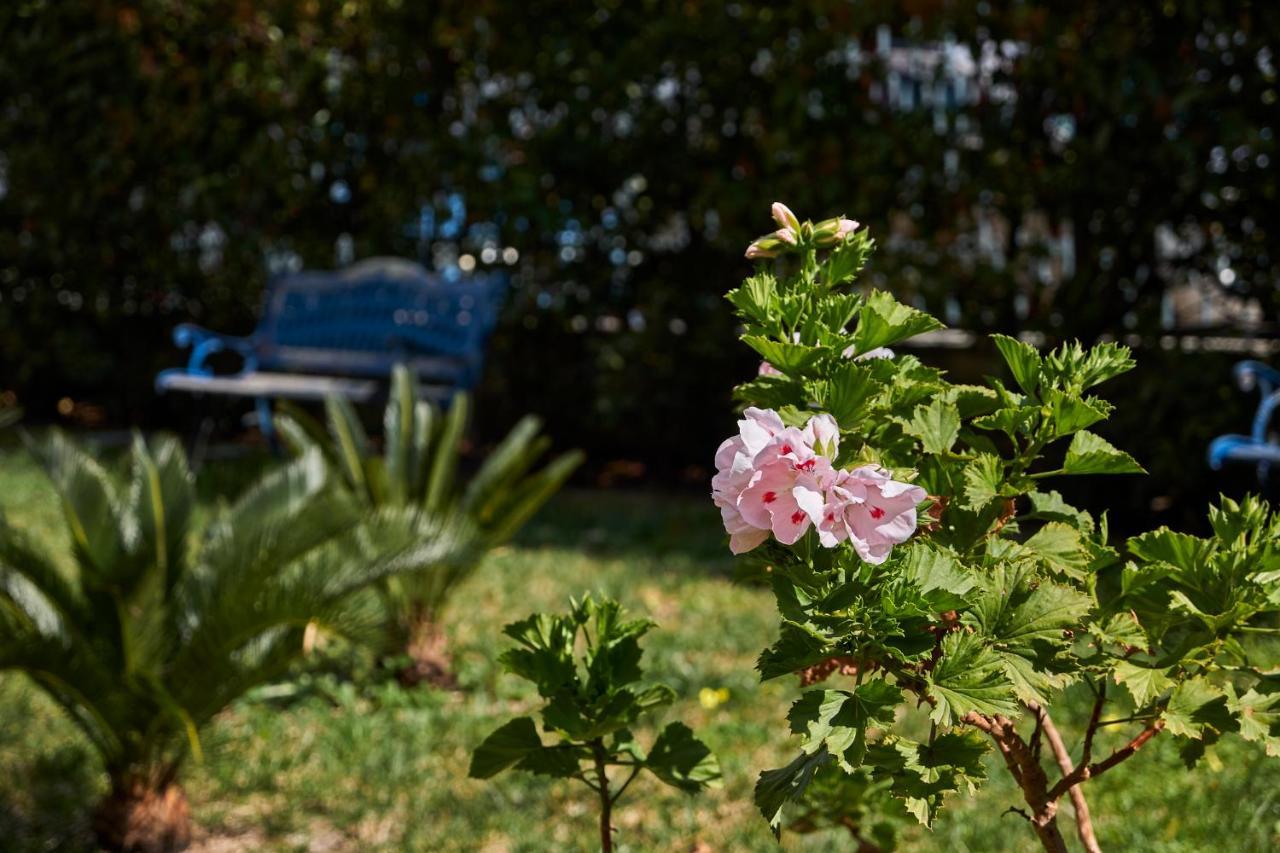 Il Giardino Di Flora Con Piscina Otel Lecce Dış mekan fotoğraf